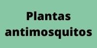 plantas antimosquitos 2